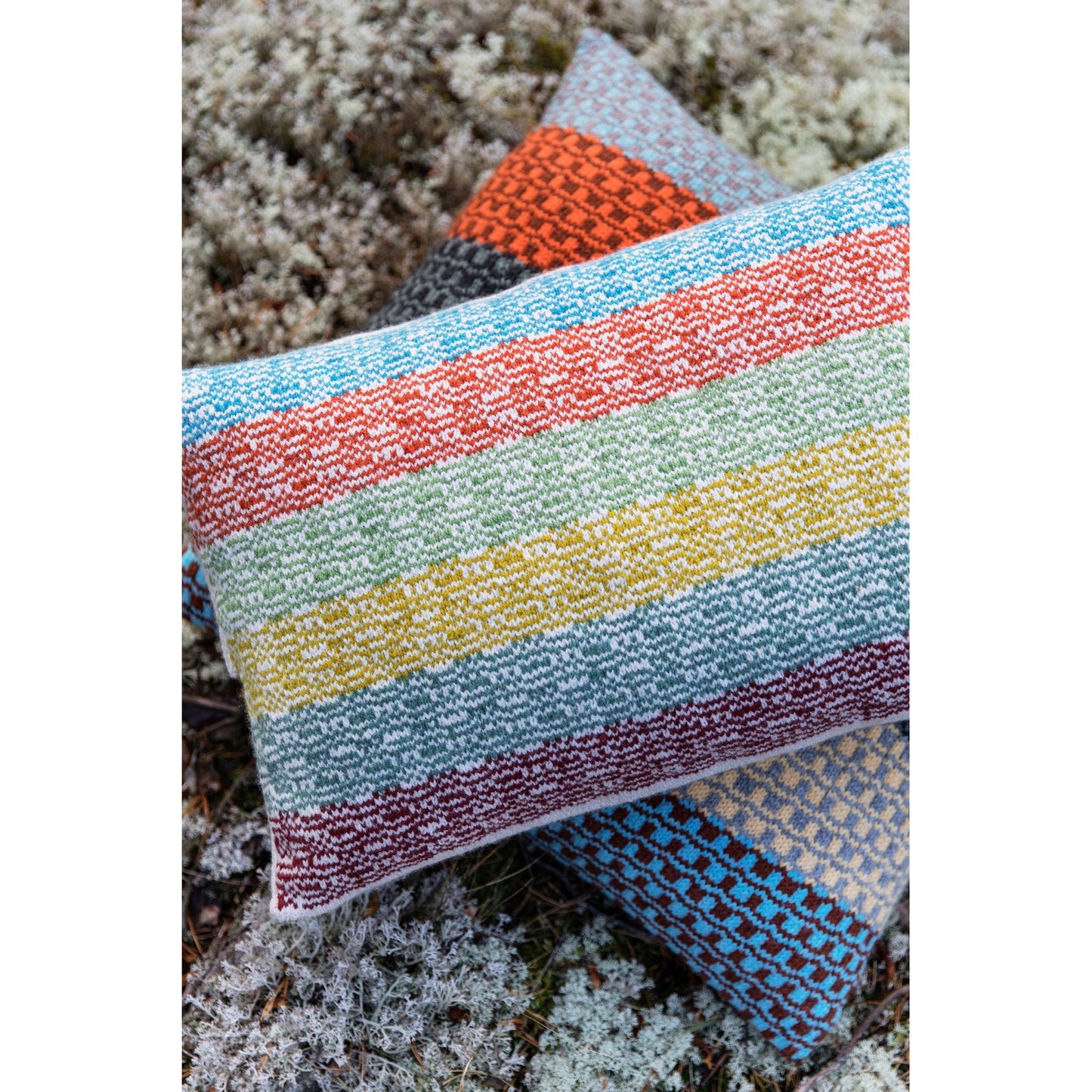 The Knitted Fabric: Colourwork Projects for You and Your Home by Dee Hardwicke