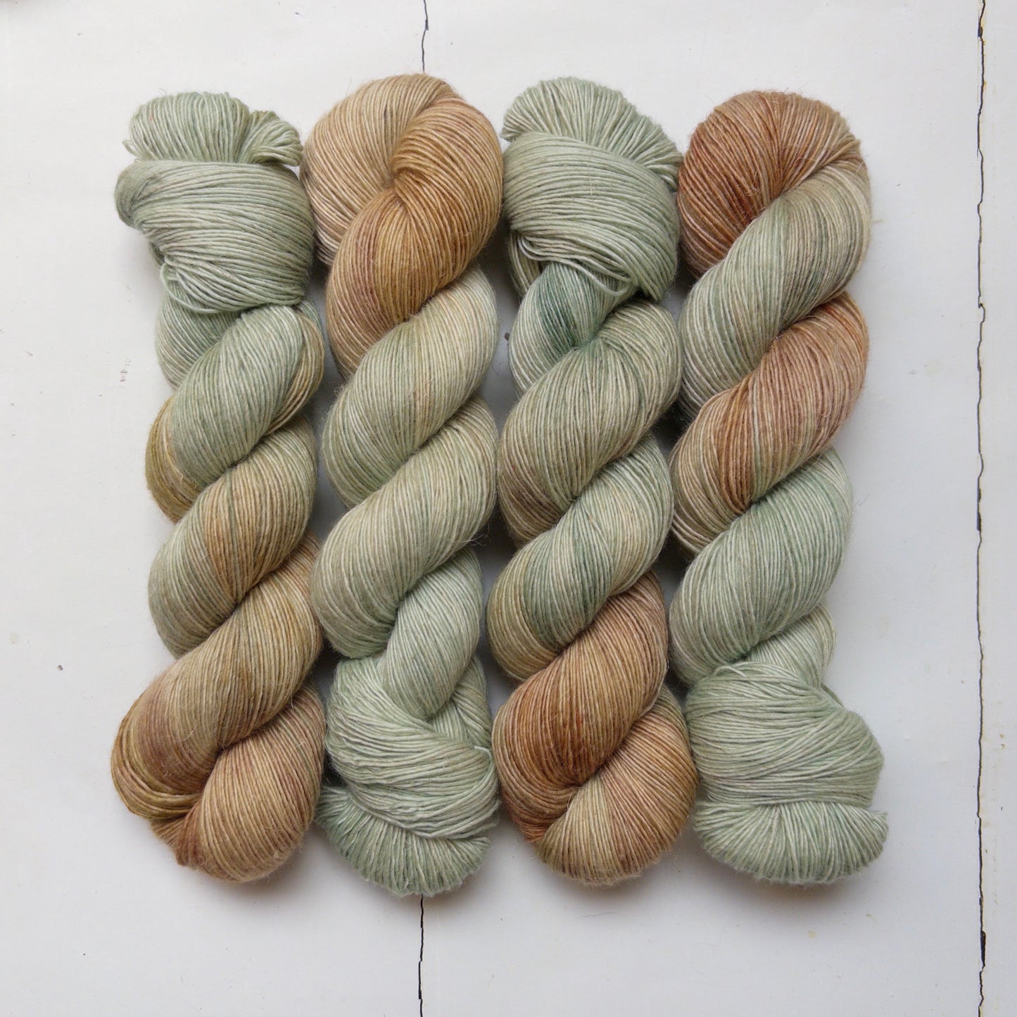 currently reading : Ripeness by Sarah Moss