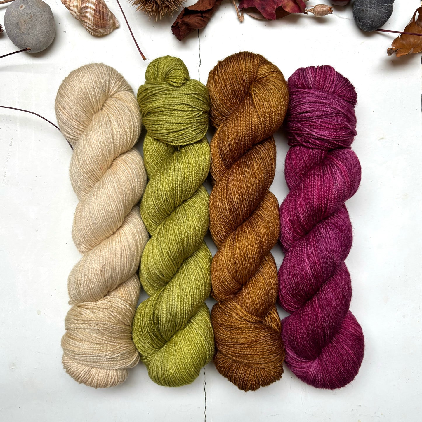 four skein yarn pack – pightle | fingering/4ply – autumn gleam
