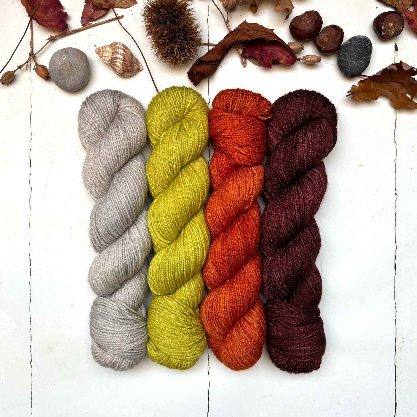 Four skein yarn pack – hoo | DK sock – leaves