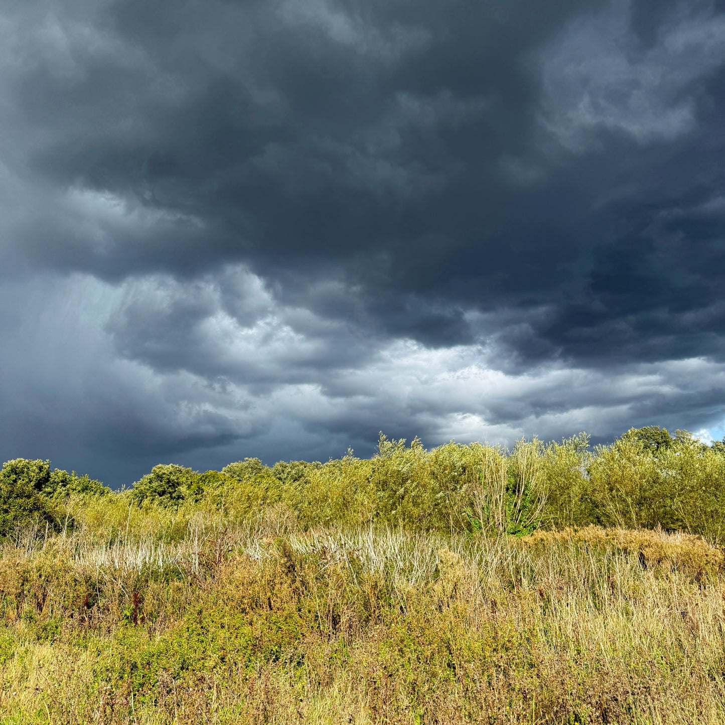 skeinLight – september – stormy weather