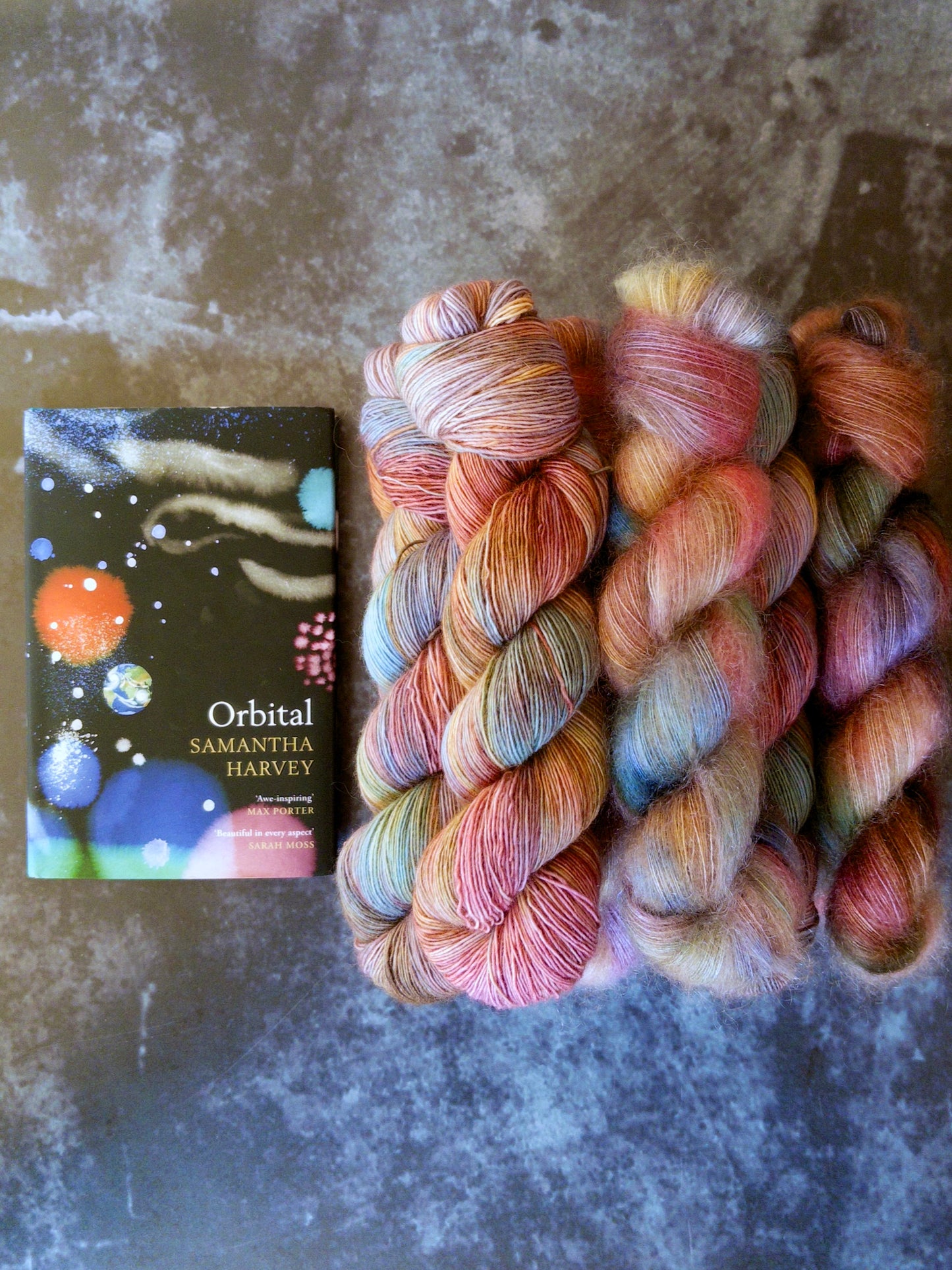 currently reading : Orbital by Samantha Harvey