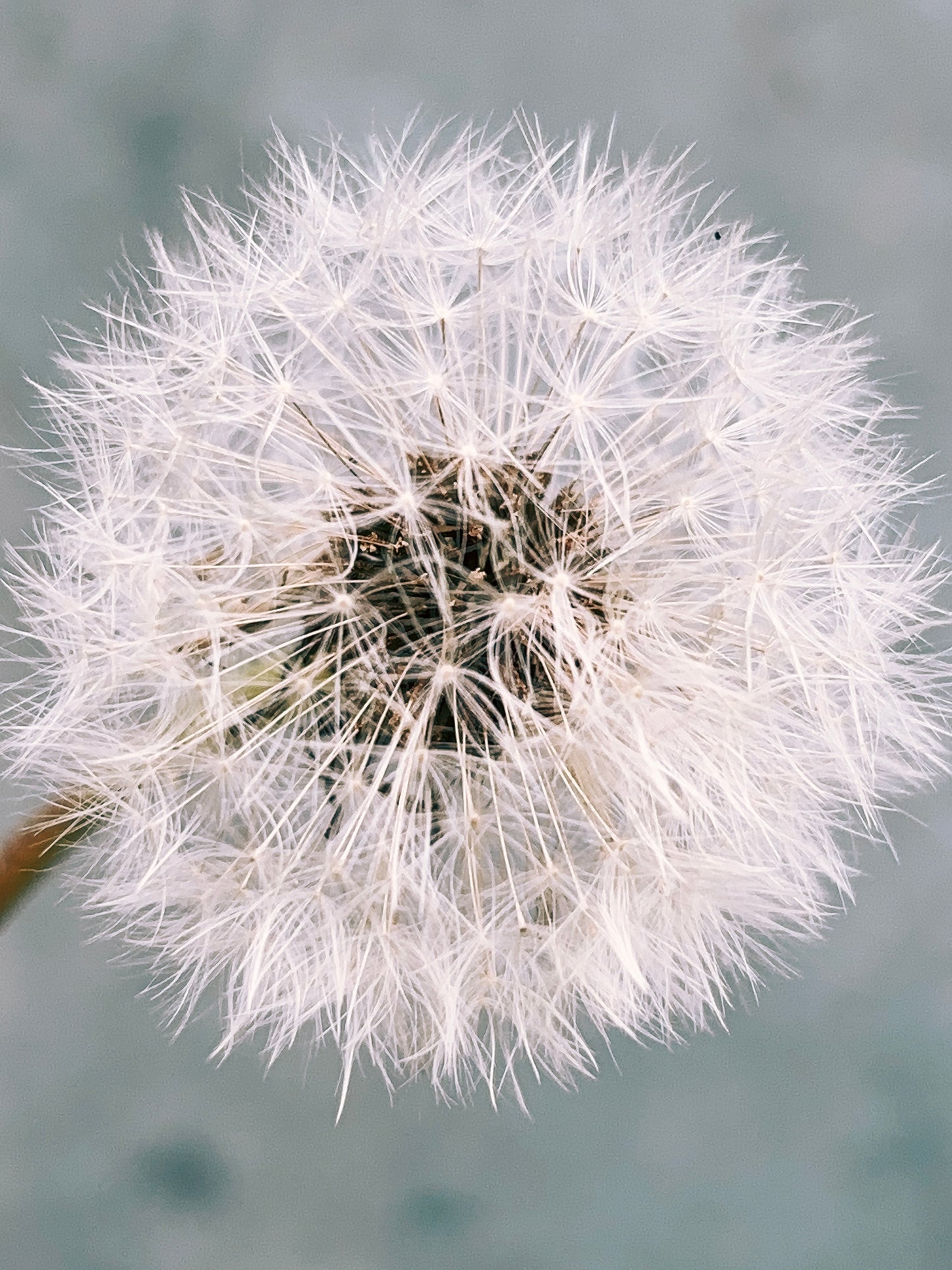 yarn from the meadow - may