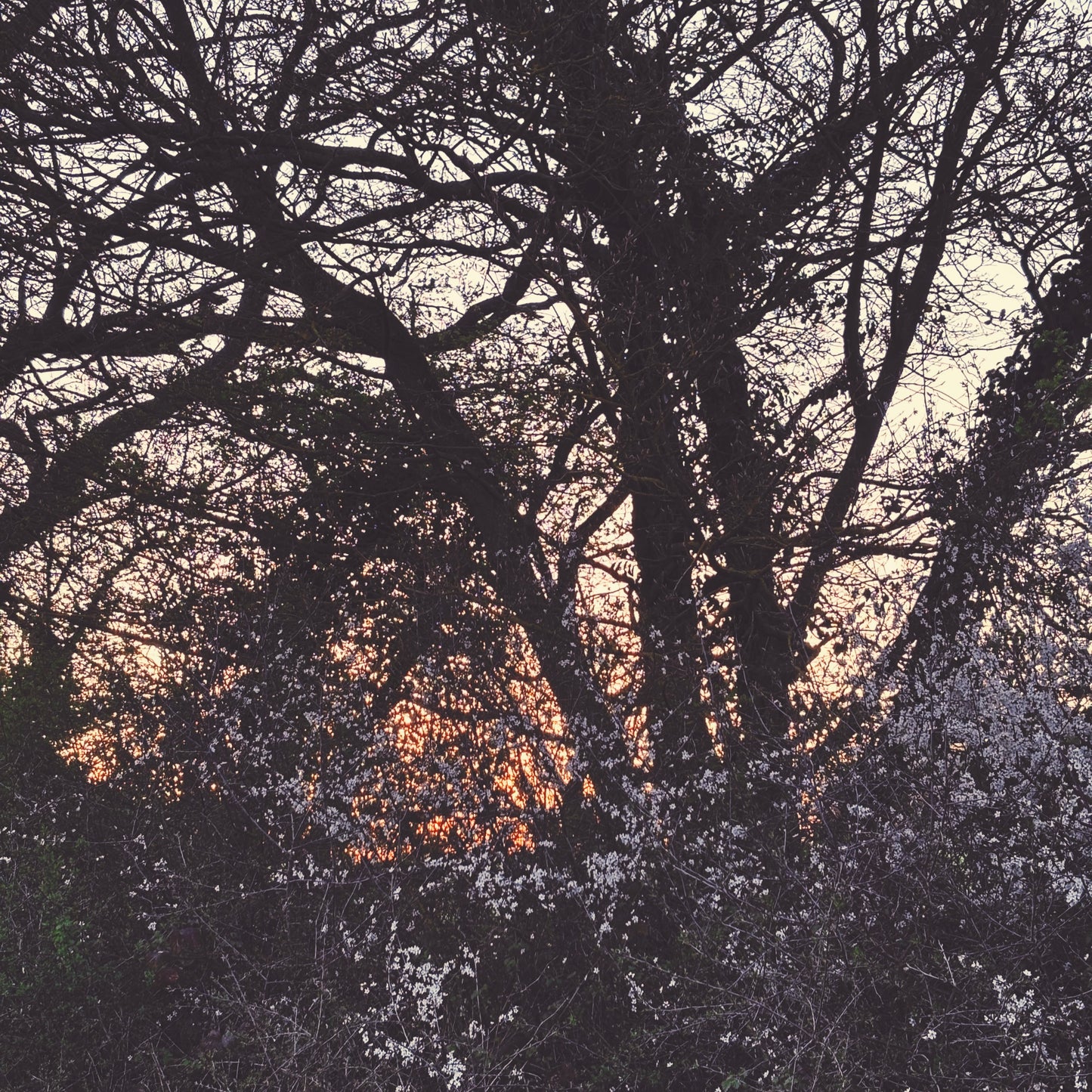 skeinLight – april – veil // mask
