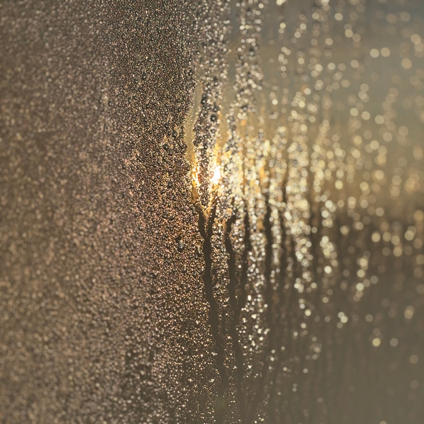skeinLight – february – condensed // reflected