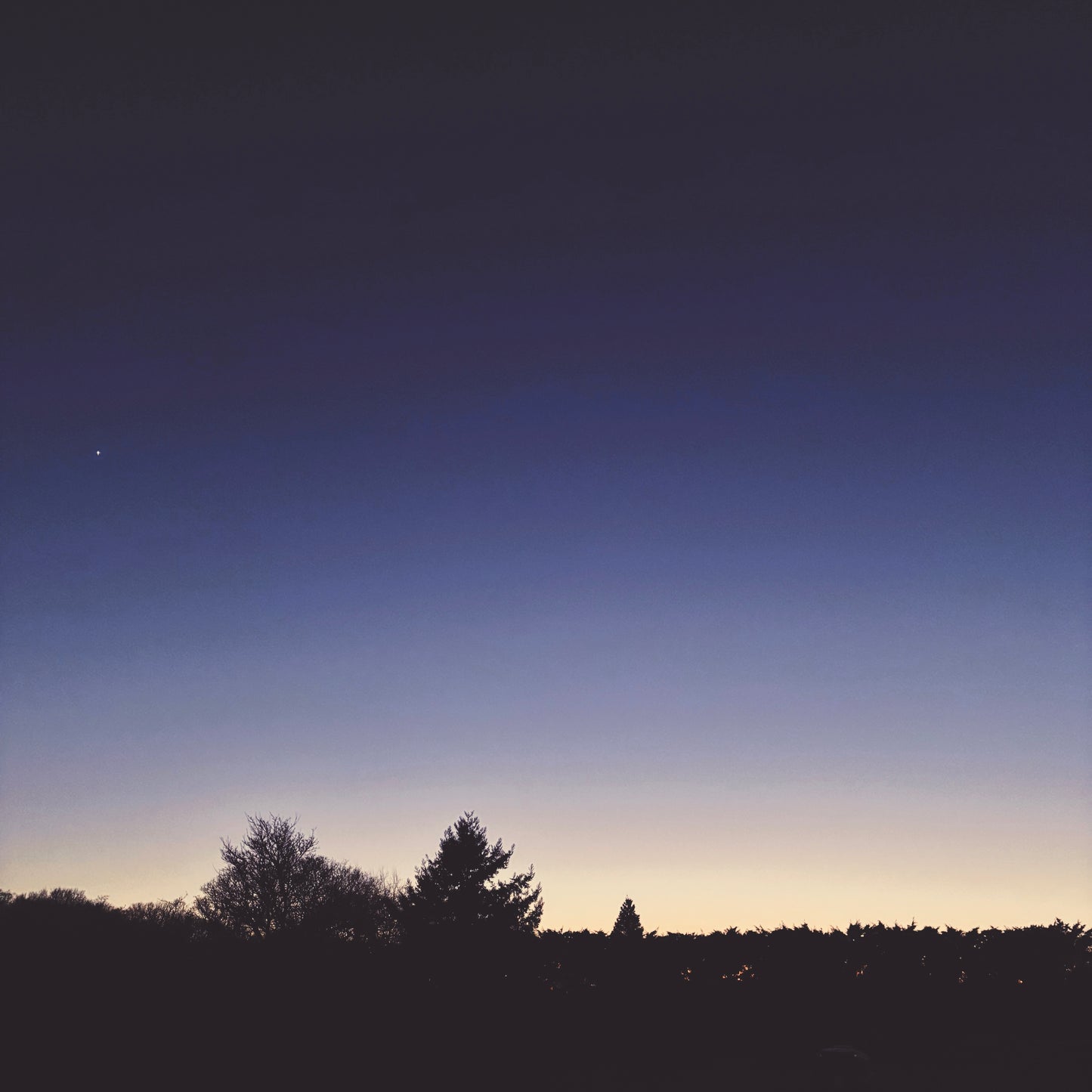 skeinLight – january – dusk light // last light