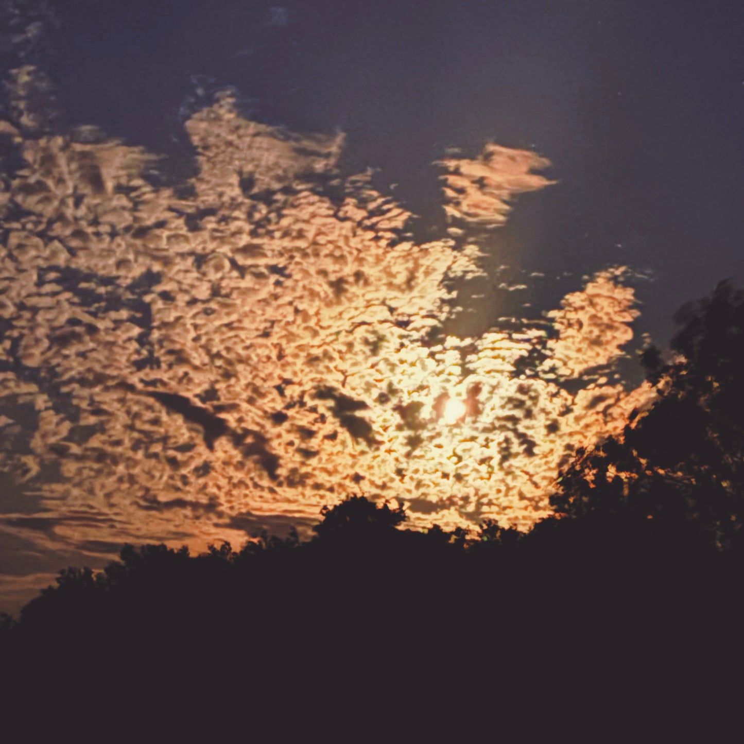 skeinLight – july – moonrise