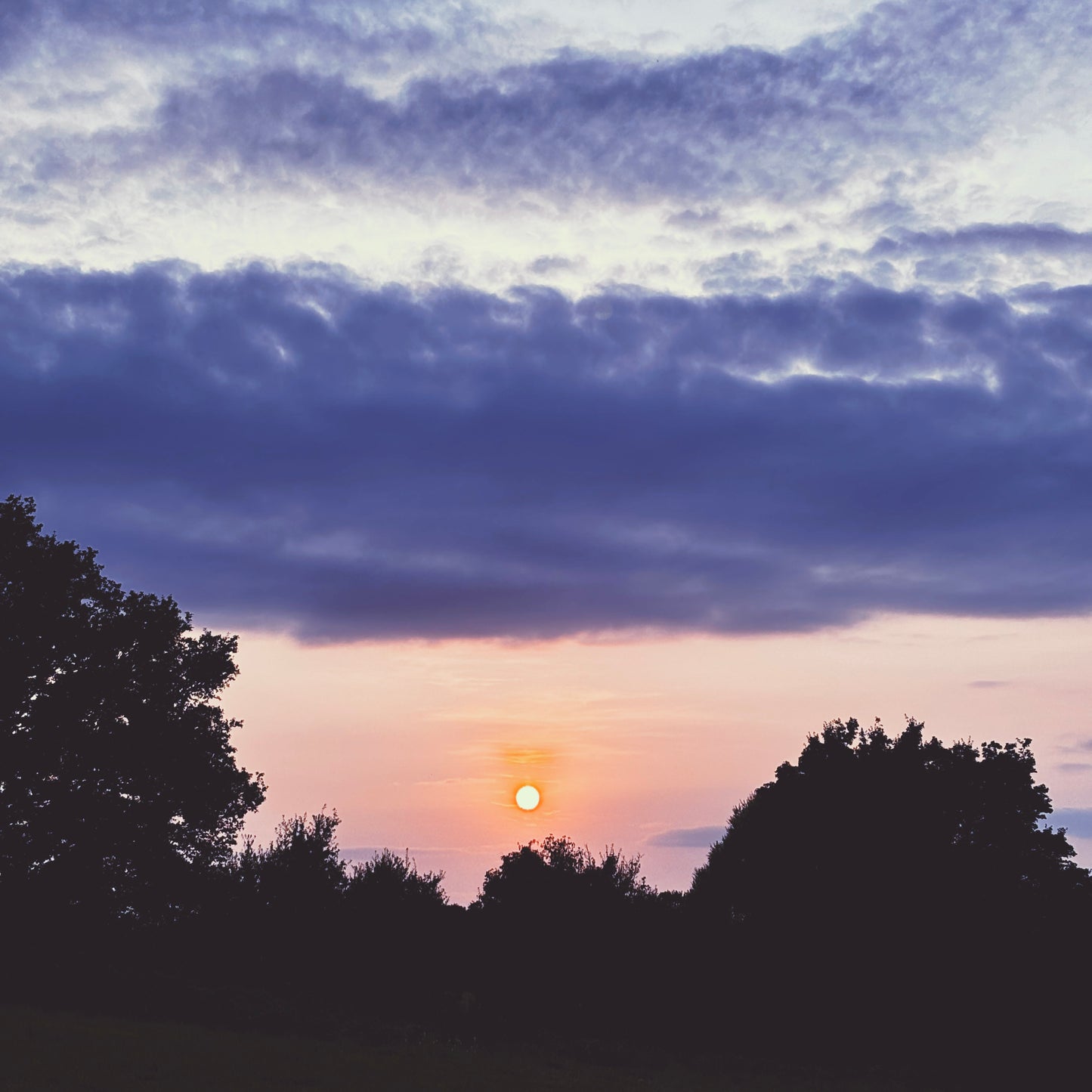 yarn from the meadow - august