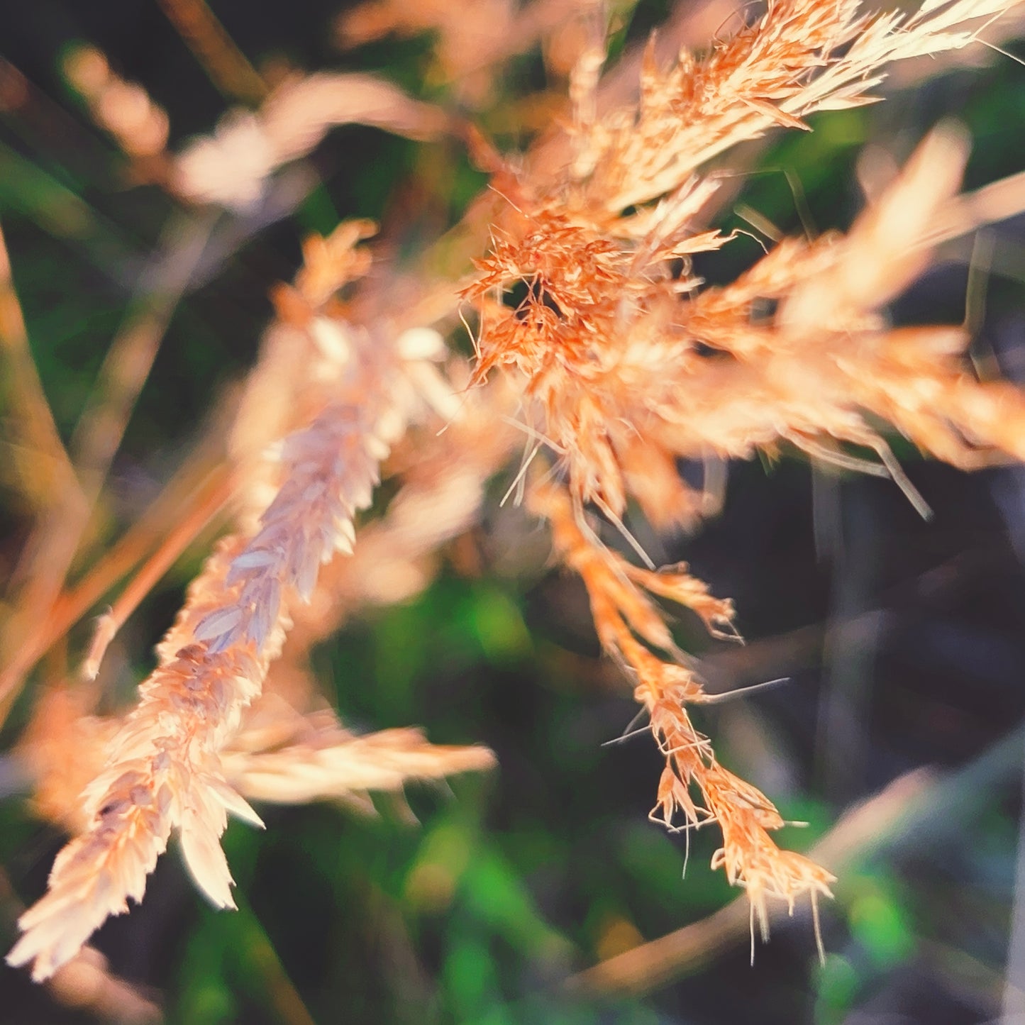 yarn from the meadow - july