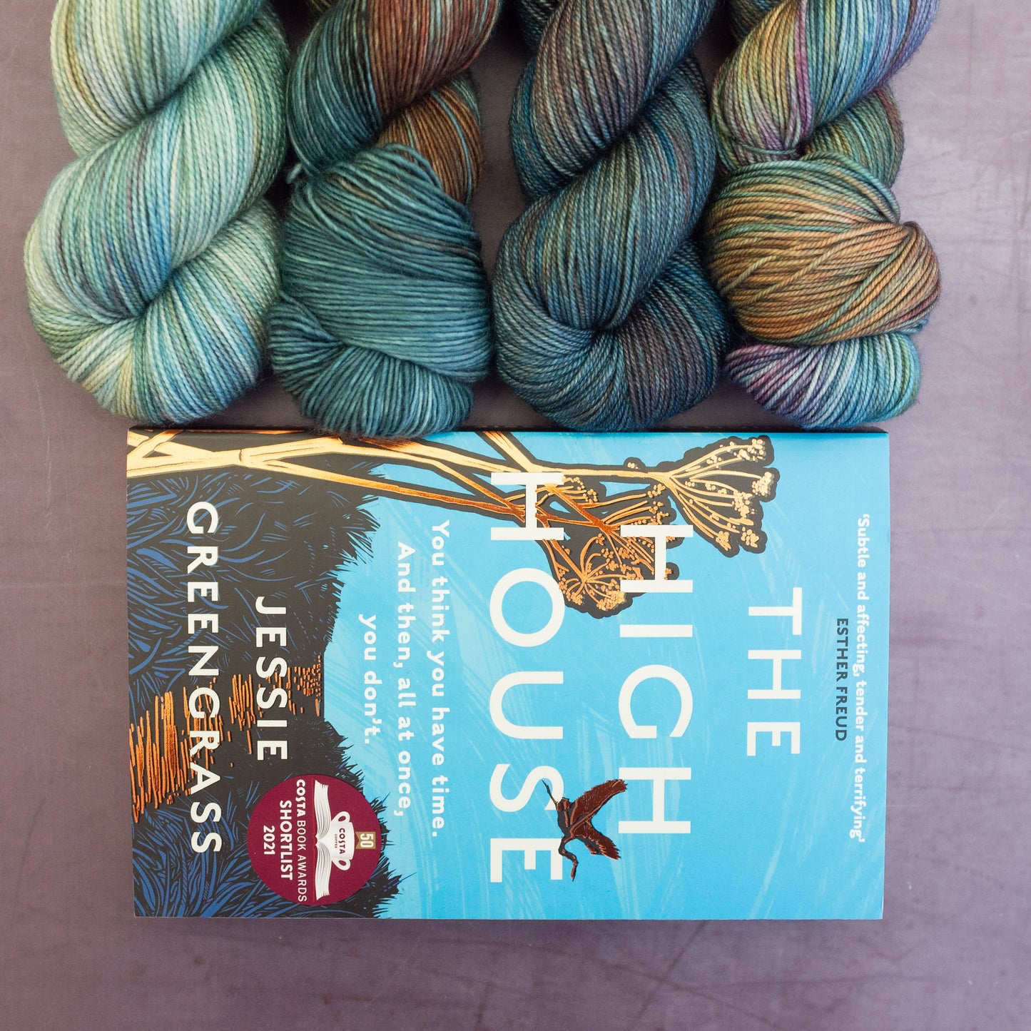 'currently reading' : The High House by Jessie Greengrass