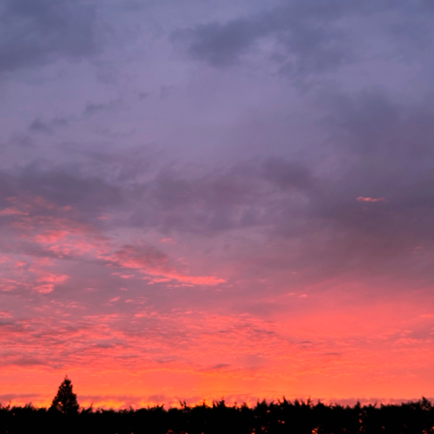 skeinLight – november – fire sky