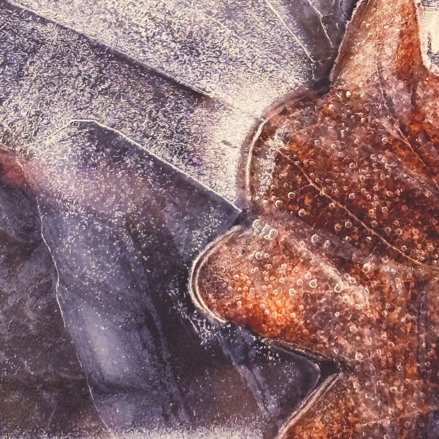 macro~meadow – January