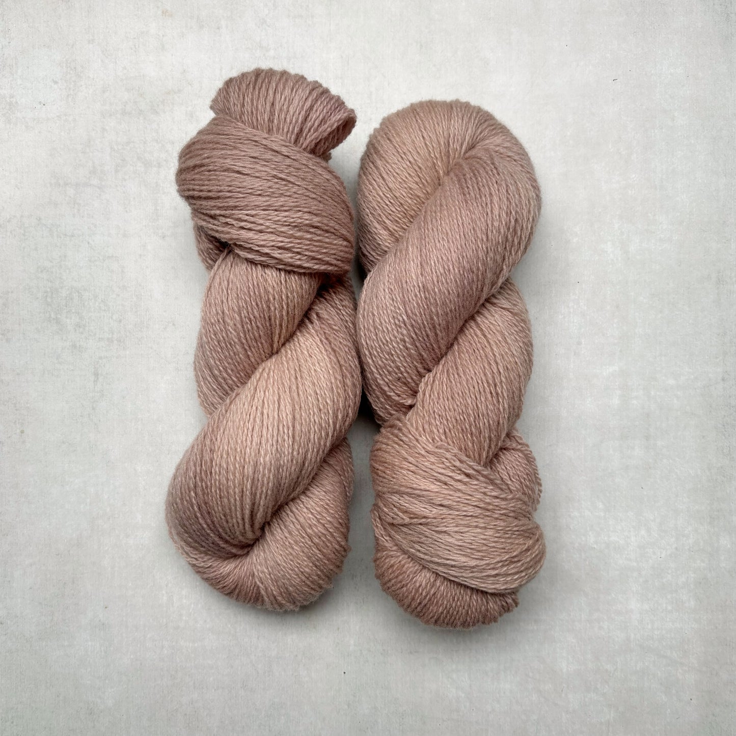 the // warmth // collection