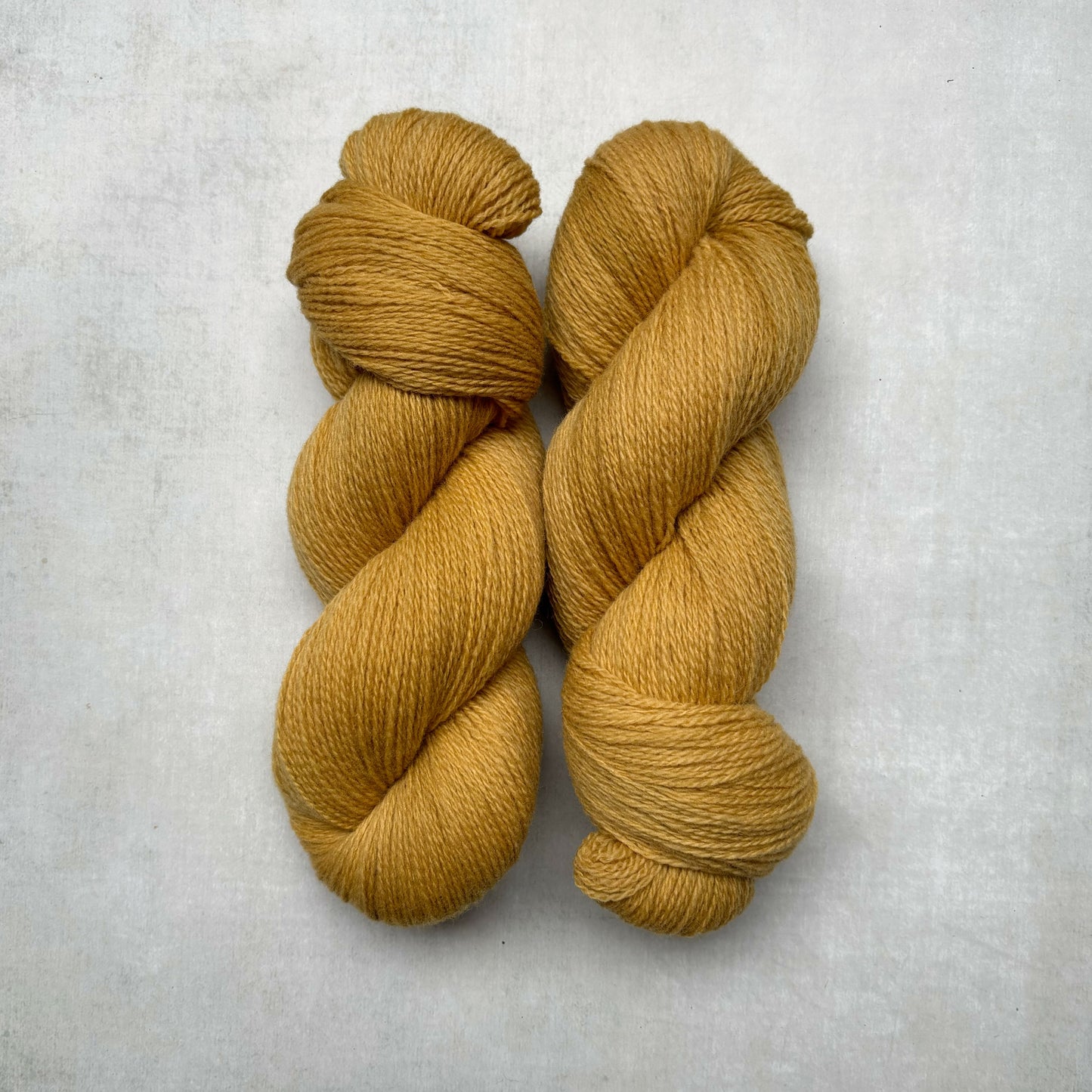 the // warmth // collection