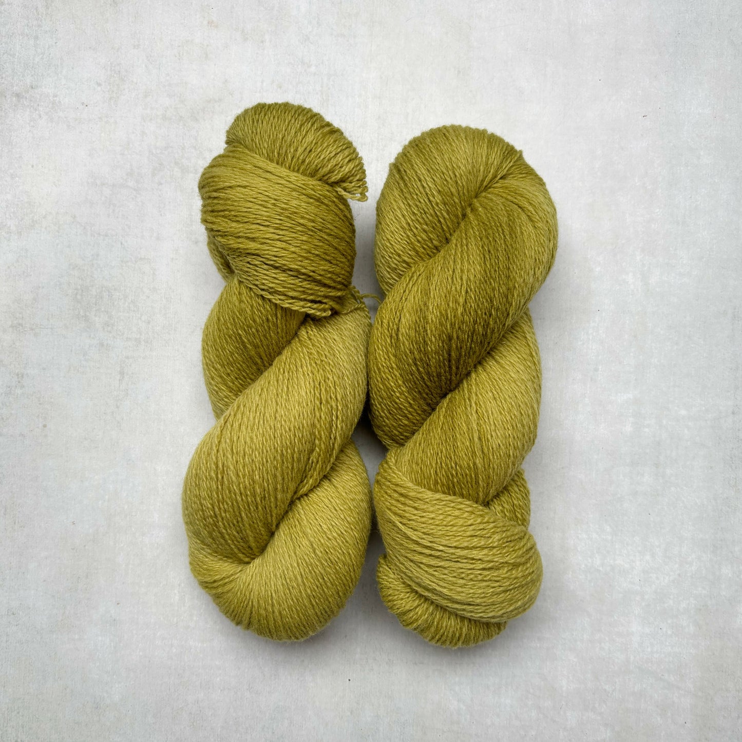 the // warmth // collection