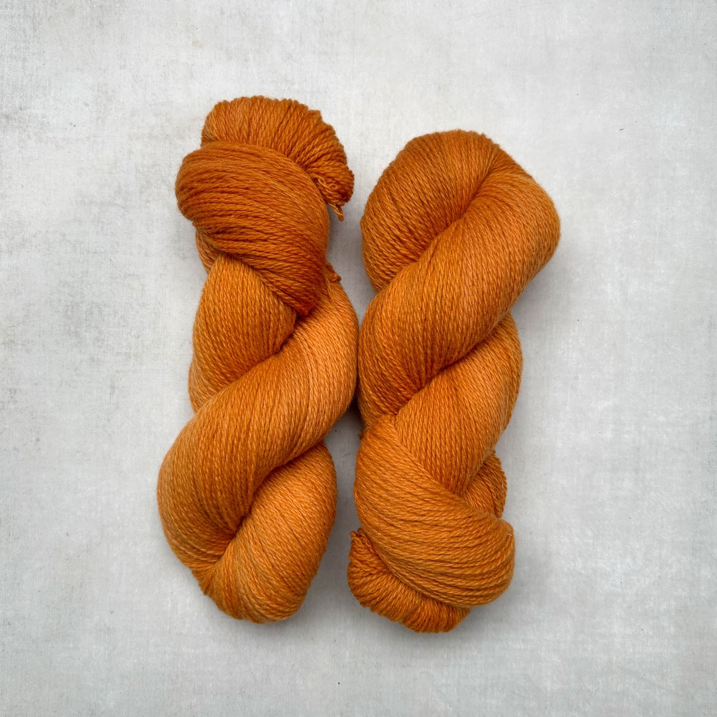 the // warmth // collection