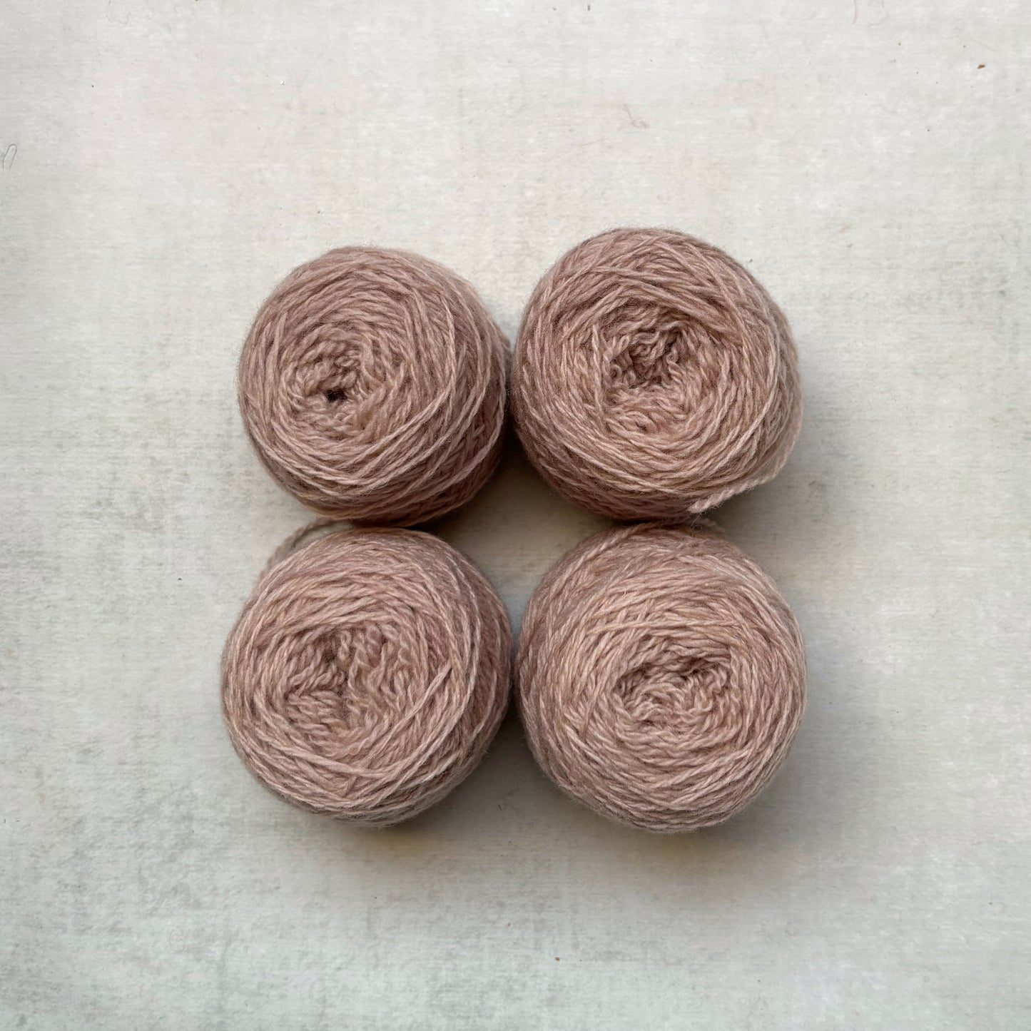 the // warmth // collection