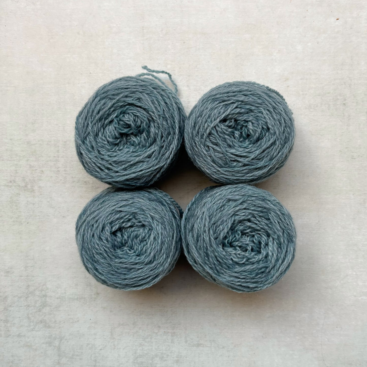 the // warmth // collection