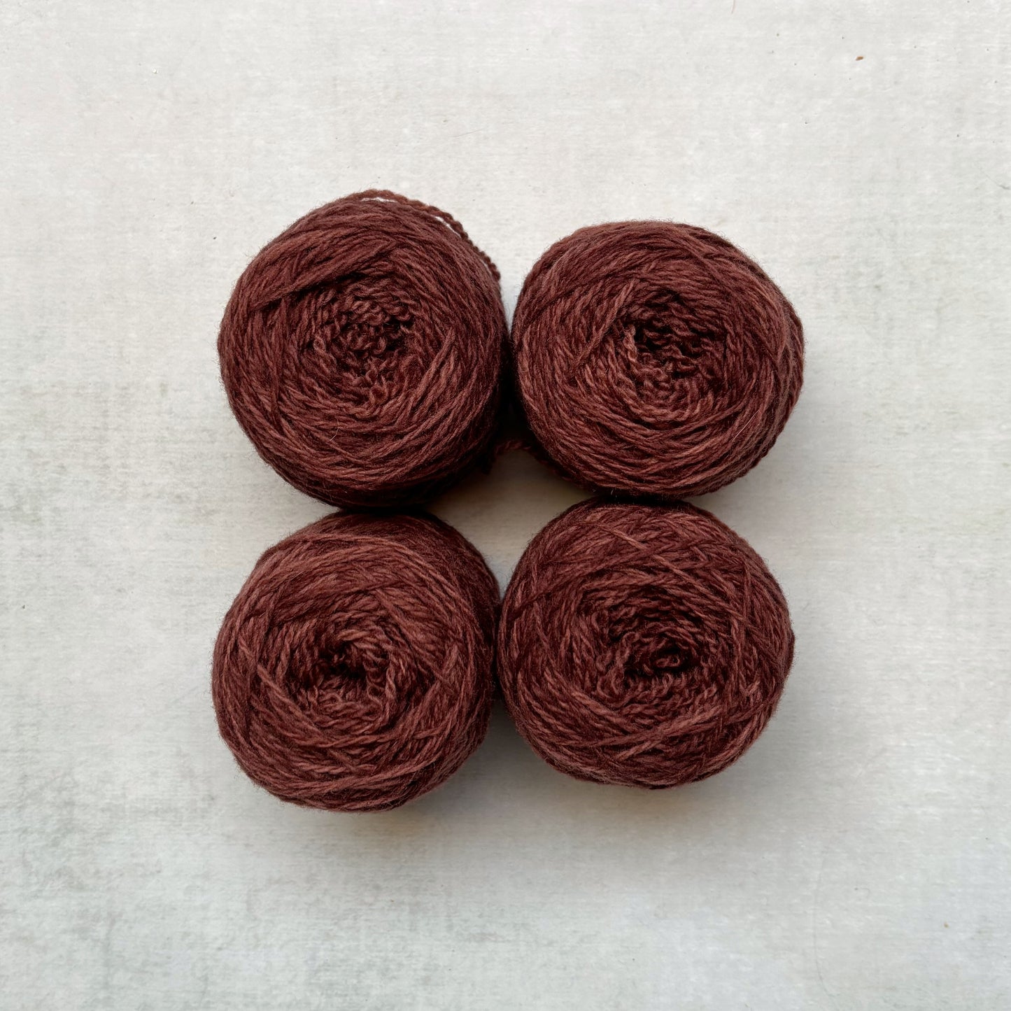 the // warmth // collection