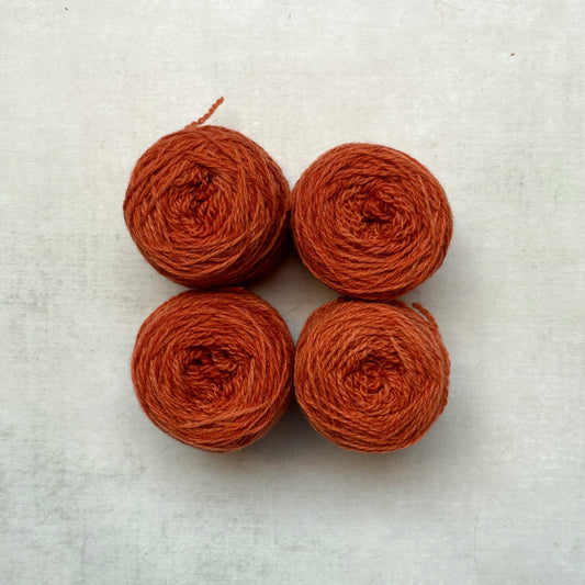 the // warmth // collection