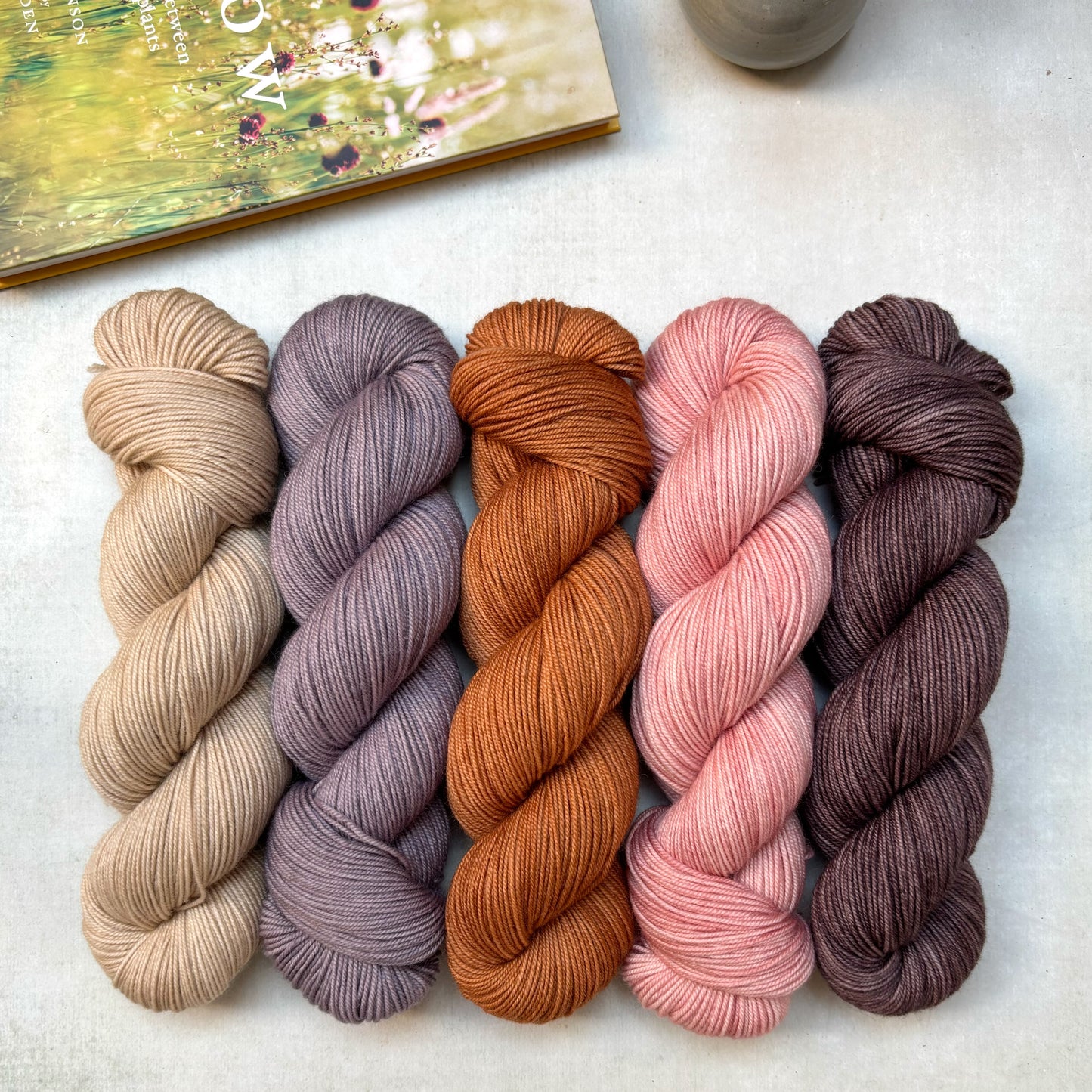 the ~ harvest ~ collection