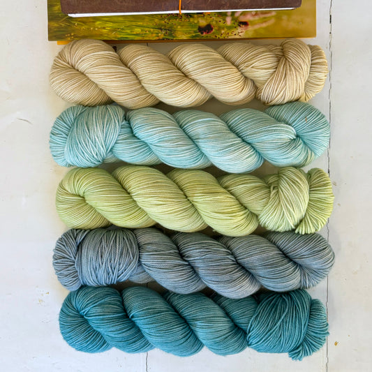 cooms | sport – five skein yarn pack – coastal colours