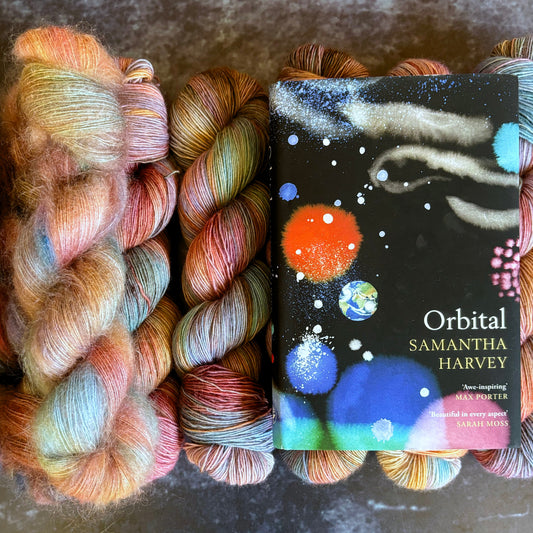 currently reading : Orbital by Samantha Harvey