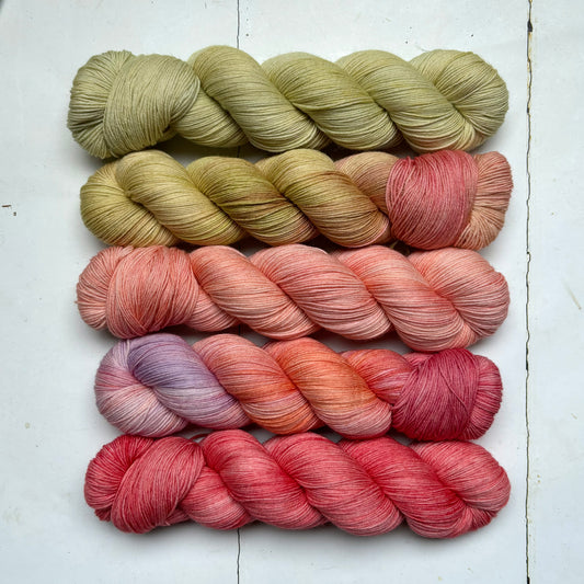 extra lite bright – five skein fade yarn pack – pightle | fingering/4ply – peachy