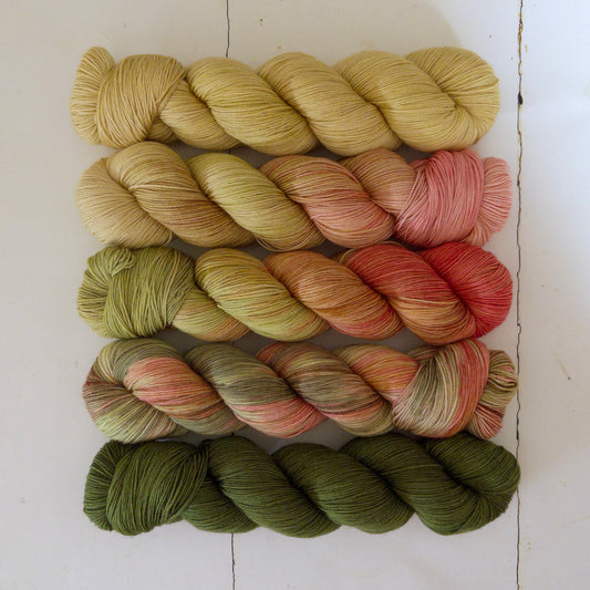 extra lite bright – five skein fade – pightle | fingering/4ply – meadow