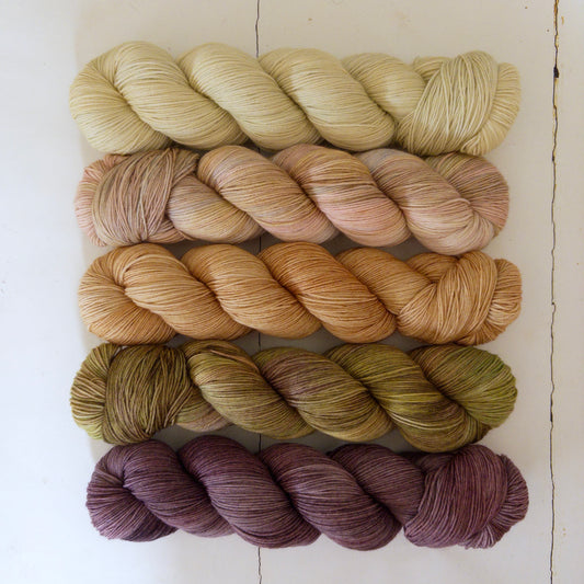 extra lite bright – five skein fade – pightle | fingering/4ply – woodland
