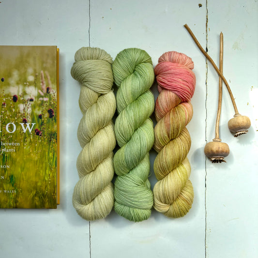 summer vibes #3 – pightle | fingering/4ply – three-skein yarn pack