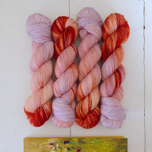 midsummer – dog rose days ~flash~