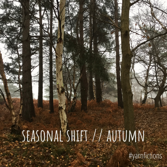 #yarnfictions club 2022 – seasonal shift // autumn