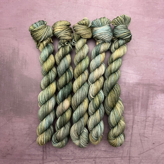 miniPightle | fingering/4ply